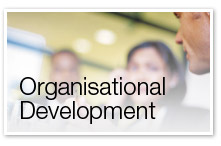 organisation development